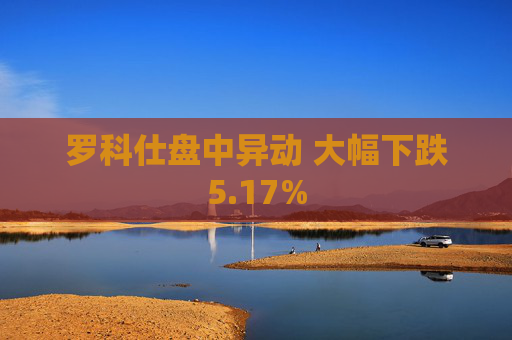 罗科仕盘中异动 大幅下跌5.17%