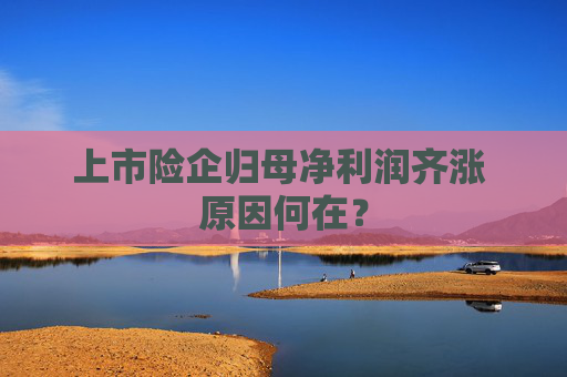 上市险企归母净利润齐涨 原因何在？