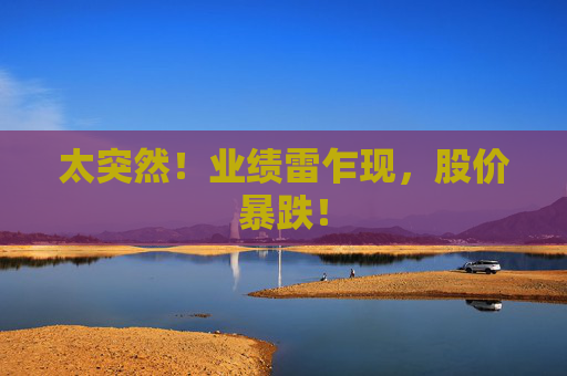 太突然！业绩雷乍现，股价暴跌！