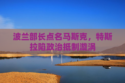 波兰部长点名马斯克，特斯拉陷政治抵制漩涡