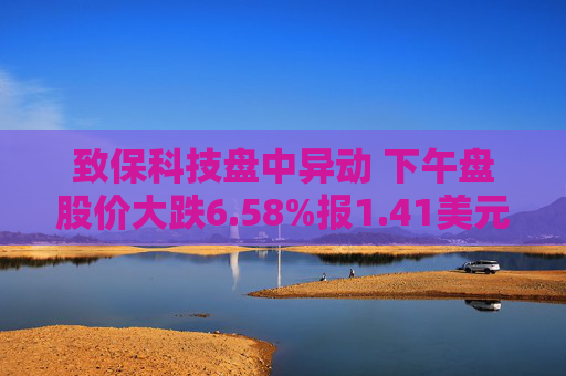 致保科技盘中异动 下午盘股价大跌6.58%报1.41美元