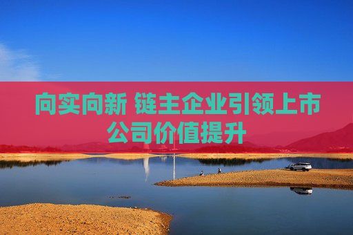 向实向新 链主企业引领上市公司价值提升