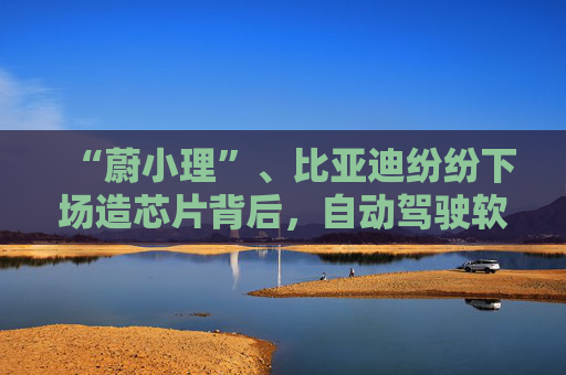 “蔚小理”、比亚迪纷纷下场造芯片背后，自动驾驶软硬一体已成趋势