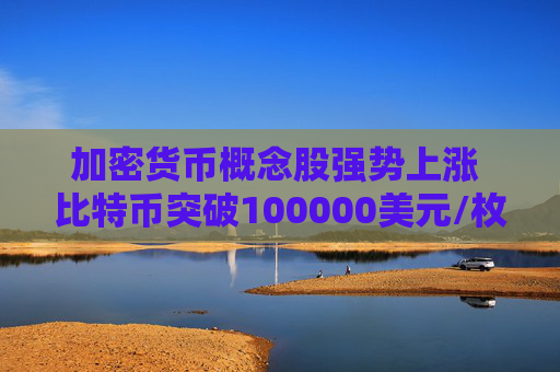 加密货币概念股强势上涨 比特币突破100000美元/枚