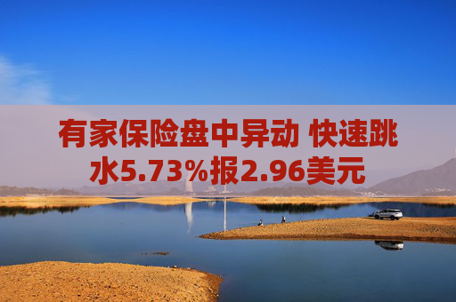 有家保险盘中异动 快速跳水5.73%报2.96美元