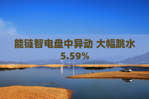 能链智电盘中异动 大幅跳水5.59%