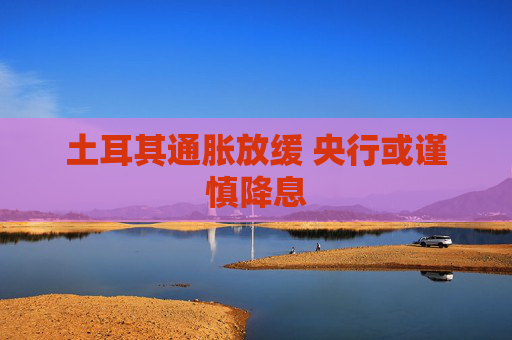 土耳其通胀放缓 央行或谨慎降息