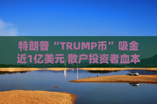 特朗普“TRUMP币”吸金近1亿美元 散户投资者血本无归
