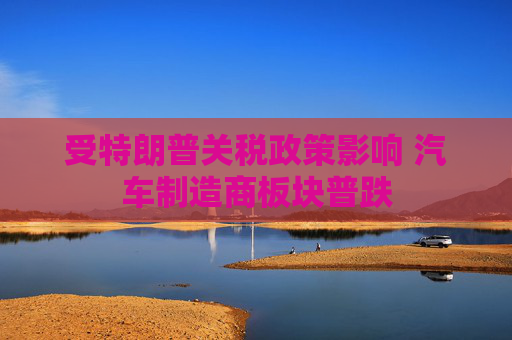 受特朗普关税政策影响 汽车制造商板块普跌