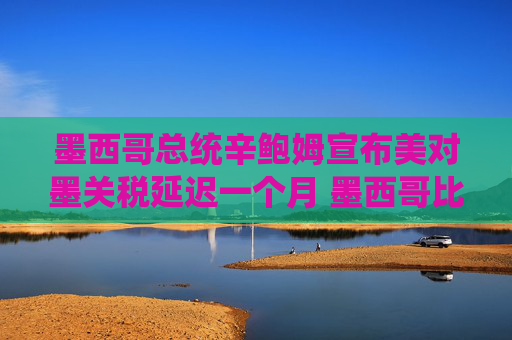 墨西哥总统辛鲍姆宣布美对墨关税延迟一个月 墨西哥比索应声上涨