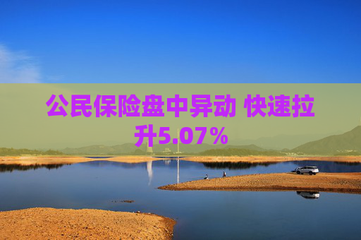 公民保险盘中异动 快速拉升5.07%