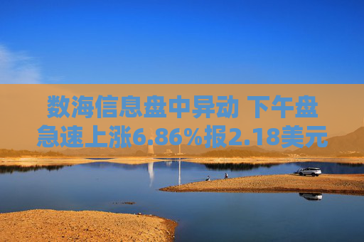 数海信息盘中异动 下午盘急速上涨6.86%报2.18美元