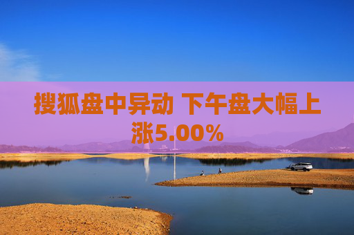 搜狐盘中异动 下午盘大幅上涨5.00%