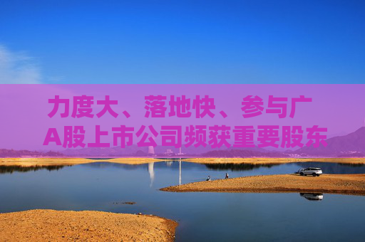 力度大、落地快、参与广  A股上市公司频获重要股东增持“力挺”