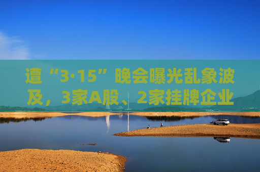 遭“3·15”晚会曝光乱象波及，3家A股、2家挂牌企业收监管问询函