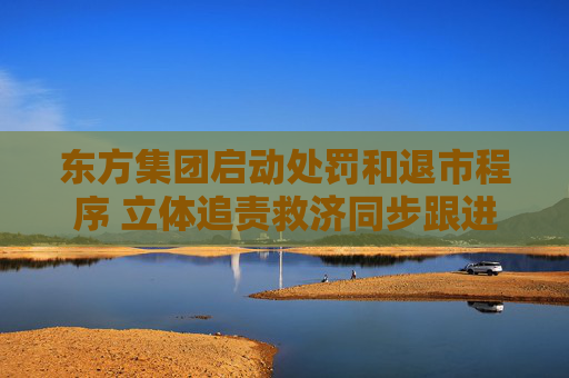 东方集团启动处罚和退市程序 立体追责救济同步跟进