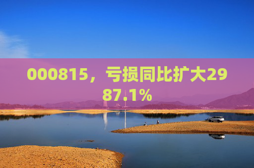 000815，亏损同比扩大2987.1%