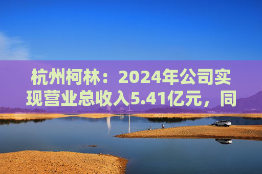 杭州柯林：2024年公司实现营业总收入5.41亿元，同比增长168.23%