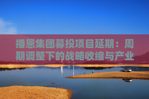 播恩集团募投项目延期：周期调整下的战略收缩与产业协同