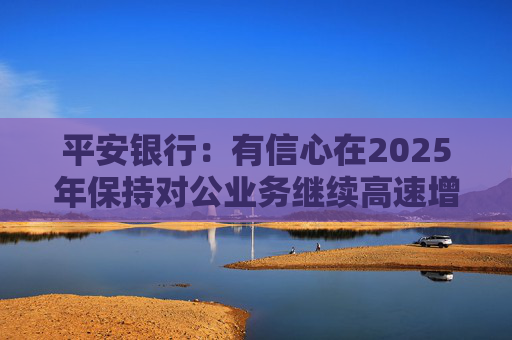 平安银行：有信心在2025年保持对公业务继续高速增长
