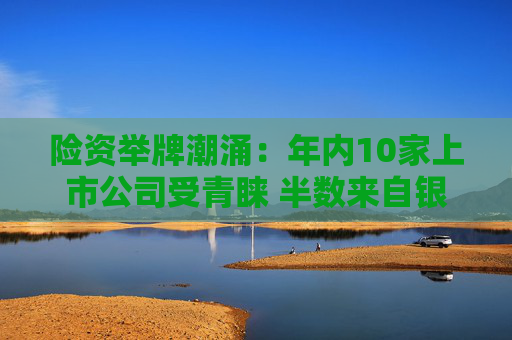 险资举牌潮涌：年内10家上市公司受青睐 半数来自银行板块