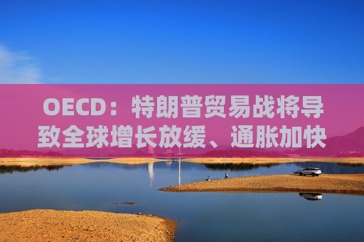 OECD：特朗普贸易战将导致全球增长放缓、通胀加快
