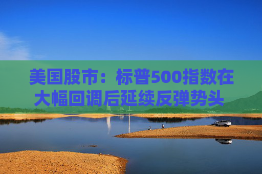 美国股市：标普500指数在大幅回调后延续反弹势头 工业和能源股走高