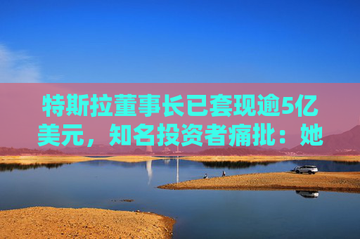 特斯拉董事长已套现逾5亿美元，知名投资者痛批：她被收买了，只代表马斯克