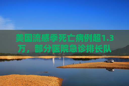 美国流感季死亡病例超1.3万，部分医院急诊排长队