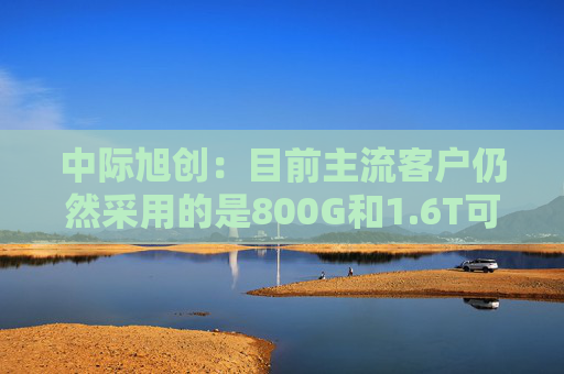 中际旭创：目前主流客户仍然采用的是800G和1.6T可插拔光模块