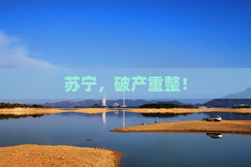 苏宁，破产重整！