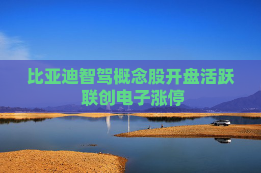 比亚迪智驾概念股开盘活跃 联创电子涨停
