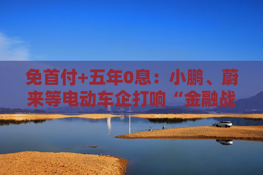 免首付+五年0息：小鹏、蔚来等电动车企打响“金融战”争夺存量市场