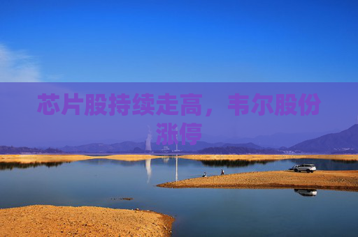 芯片股持续走高，韦尔股份涨停