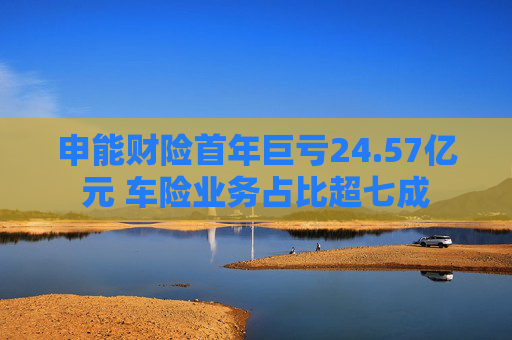 申能财险首年巨亏24.57亿元 车险业务占比超七成