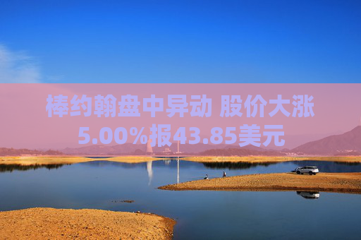 棒约翰盘中异动 股价大涨5.00%报43.85美元
