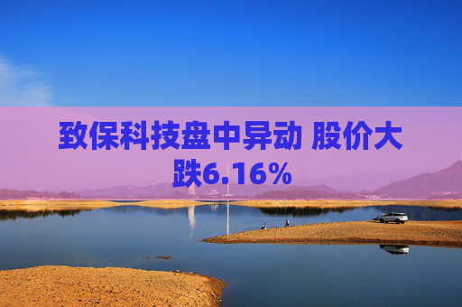 致保科技盘中异动 股价大跌6.16%