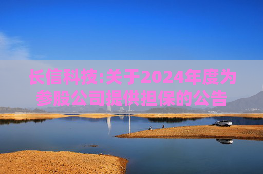 长信科技:关于2024年度为参股公司提供担保的公告