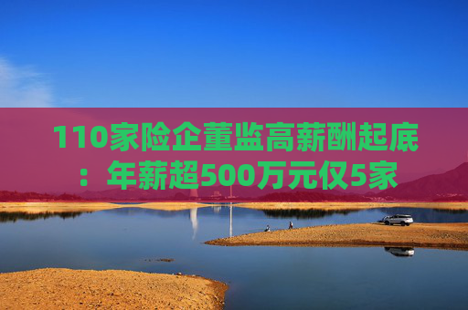 110家险企董监高薪酬起底：年薪超500万元仅5家