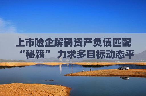 上市险企解码资产负债匹配“秘籍” 力求多目标动态平衡
