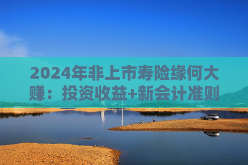 2024年非上市寿险缘何大赚：投资收益+新会计准则