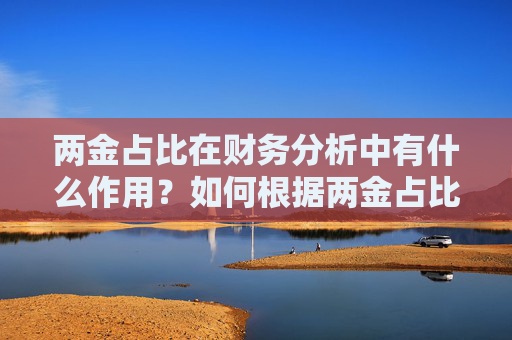 两金占比在财务分析中有什么作用？如何根据两金占比评估企业的财务状况？