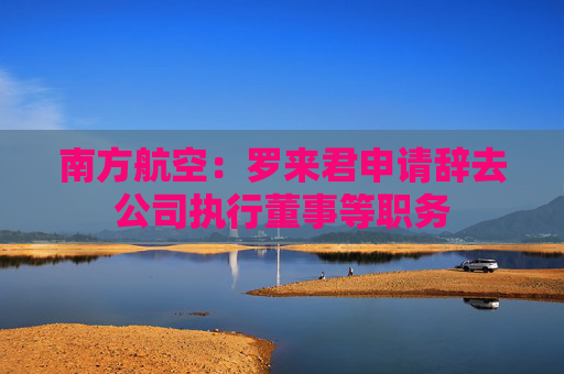 南方航空：罗来君申请辞去公司执行董事等职务