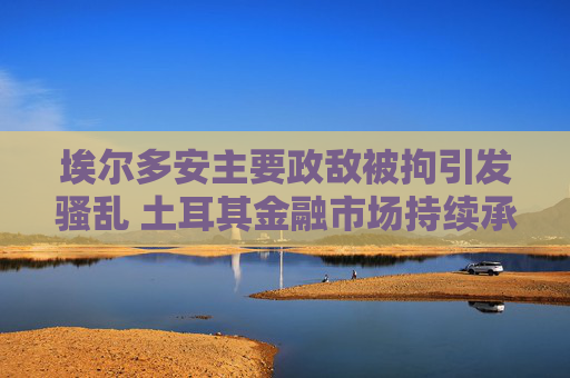 埃尔多安主要政敌被拘引发骚乱 土耳其金融市场持续承压