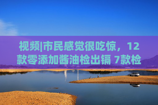 视频|市民感觉很吃惊，12款零添加酱油检出镉 7款检出砷