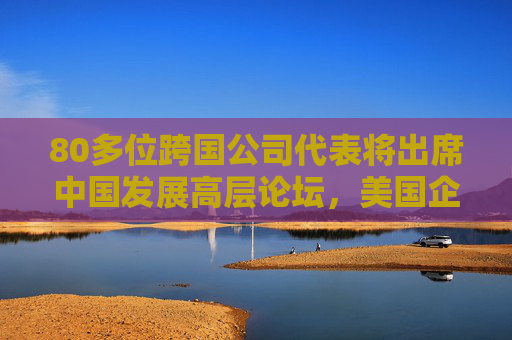 80多位跨国公司代表将出席中国发展高层论坛，美国企业最多