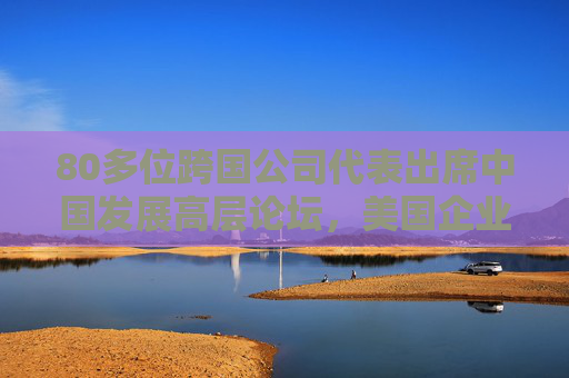 80多位跨国公司代表出席中国发展高层论坛，美国企业最多，中国仍然是跨国投资的高地