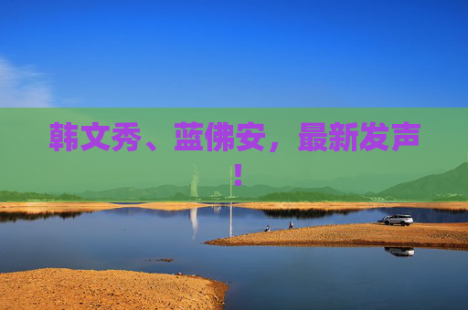 韩文秀、蓝佛安，最新发声！