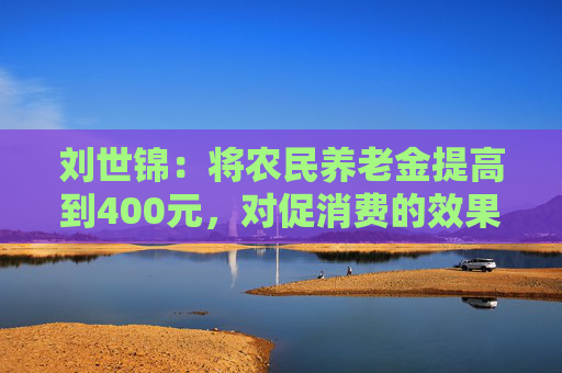 刘世锦：将农民养老金提高到400元，对促消费的效果会更好
