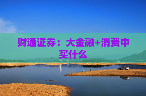 财通证券：大金融+消费中买什么